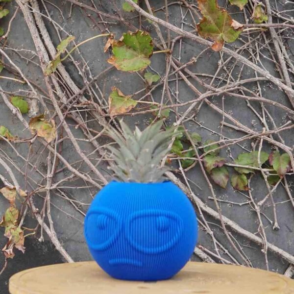 Suspicious Dude Planter