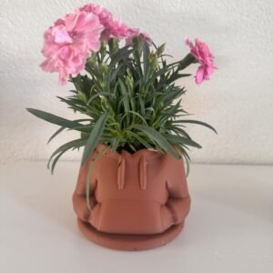 Hoodie Planter with removable base