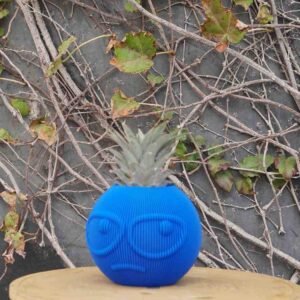 Suspicious Dude Planter
